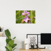 Poster Fleur sauvage de Lavendar (Bureau à domicile)