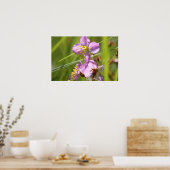 Poster Fleur sauvage de Lavendar (Cuisine)