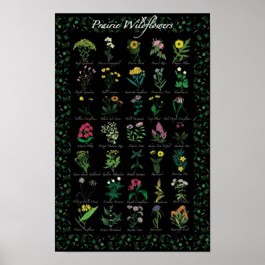 Poster Fleur sauvage des Prairies (Devant)