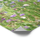 Poster Fleur sauvage du printemps (Coin)