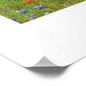 Poster Fleur sauvage du Texas (Coin)