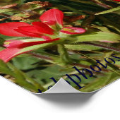 Poster Fleur sauvage du Texas (Coin)