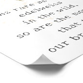 Poster Fleur sauvage Edelweiss (Coin)