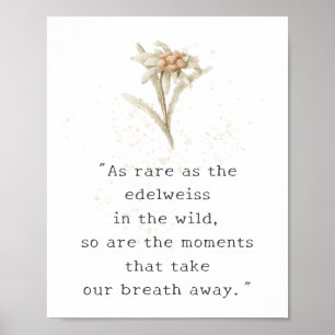 Poster Fleur sauvage Edelweiss