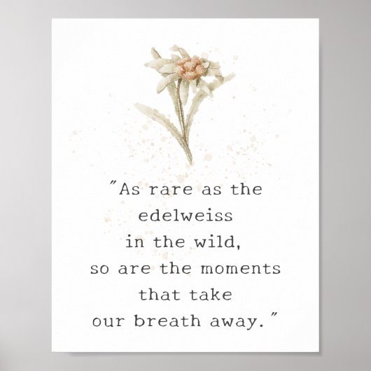 Poster Fleur sauvage Edelweiss (Devant)