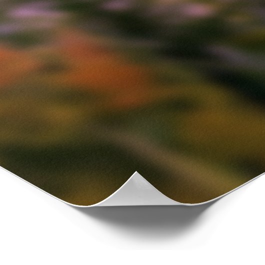 Poster Fleur sauvage Et Étoiles (Coin)