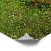 Poster Fleur sauvage et Montagnes (Coin)