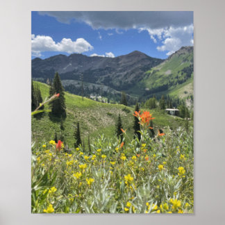 Poster Fleur sauvage et montagnes de l'Utah