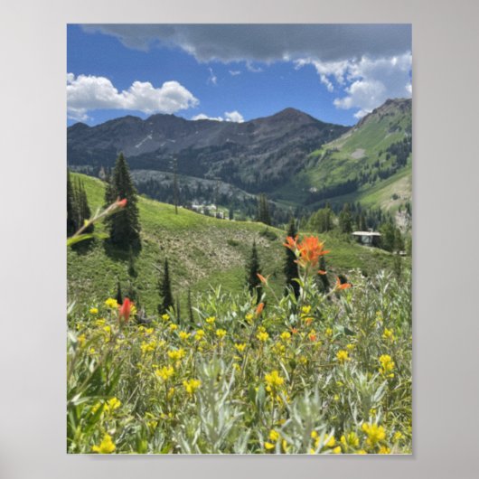 Poster Fleur sauvage et montagnes de l'Utah (Devant)