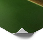 Poster Fleur sauvage étoile, Californie, États-Unis (Coin)