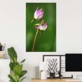 Poster Fleur sauvage étoile, Californie, États-Unis (Bureau à domicile)