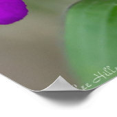 Poster Fleur sauvage Fuchsia Spiderwort Twins (Coin)