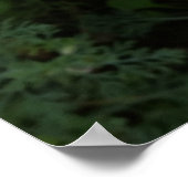 Poster fleur sauvage jaune (Coin)