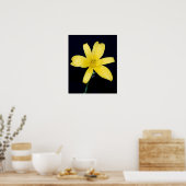 Poster Fleur sauvage jaune (Cuisine)