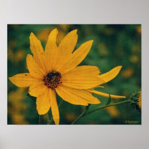Poster Fleur sauvage jaune et abeille