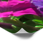 POSTER FLEUR SAUVAGE JOHN 3:16 PHOTO (Coin)