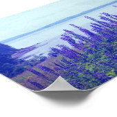 Poster fleur sauvage Maine Lupine Flowers (Coin)