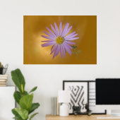 Poster Fleur sauvage Mojave Aster (Bureau à domicile)
