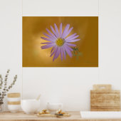 Poster Fleur sauvage Mojave Aster (Cuisine)