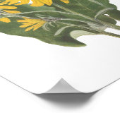 Poster Fleur sauvage racine Balsam (Coin)