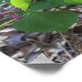 Poster Fleur sauvage rose (Coin)