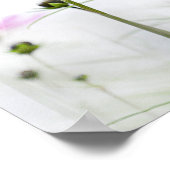 Poster Fleur sauvage rose (Coin)