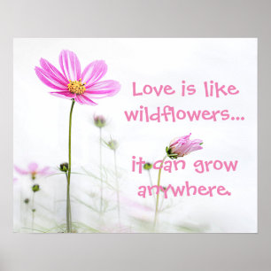 Poster Fleur sauvage rose