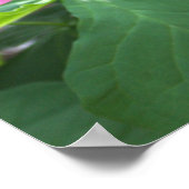 Poster Fleur sauvage rose (Coin)