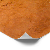 Poster Fleur sauvage - Vallée du Monument - Arizona (Coin)