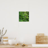 Poster Fleur sauvage violet (Cuisine)