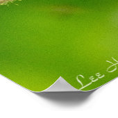 Poster Fleur sauvage Violet Vibrant Araignée (Coin)