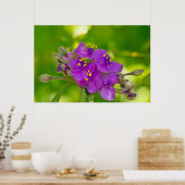 Poster Fleur sauvage Violet Vibrant Araignée (Cuisine)