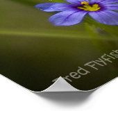 Poster Fleur sauvage violet Vignette (Coin)