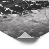 Poster Fleur sauvage Whimsical noir et blanc (Coin)