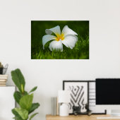 Poster fleur solitaire (Bureau à domicile)