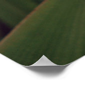 Poster Fleur sur la plage (Coin)