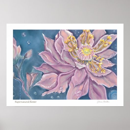 Poster Fleur surnaturelle (Devant)
