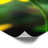 Poster Fleur Susan Daisy à simple teint noir (Coin)