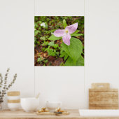 Poster Fleur Trillium Rose (Cuisine)