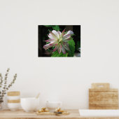 Poster Fleur trois (Cuisine)