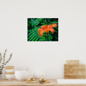 Poster Fleur tropicale orange (Cuisine)