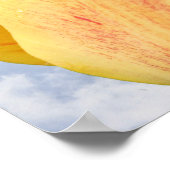 Poster Fleur Tulipe Jaune Sur Ciel Bleu (Coin)