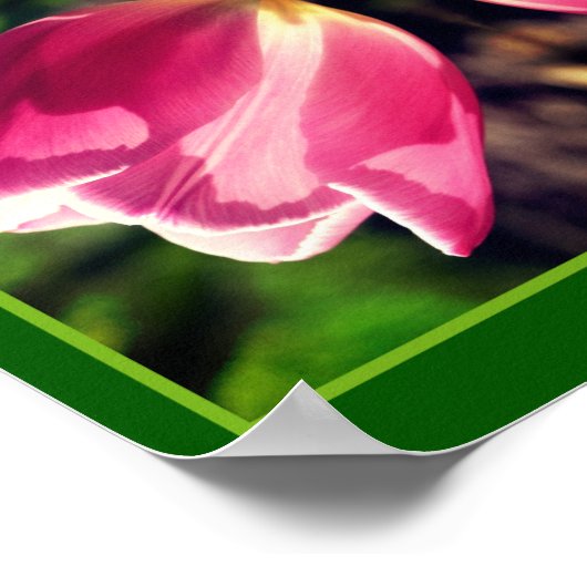 Poster Fleur Tulipe Rose Dans Miroir Soleil Abstrait (Coin)