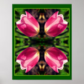 Poster Fleur Tulipe Rose Dans Miroir Soleil Abstrait (Devant)