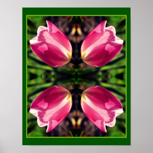 Poster Fleur Tulipe Rose Dans Miroir Soleil Abstrait (Devant)