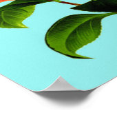 Poster Fleur vintage de Camellia (Coin)