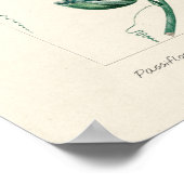 Poster Fleur vintage Passion (Coin)