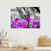 Poster Fleur violet noir blanc monochrome (Cuisine)