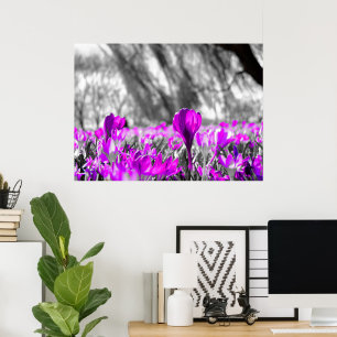 Poster Fleur violet noir blanc monochrome