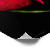 Poster Fleur violet sauvage wapcn (Coin)